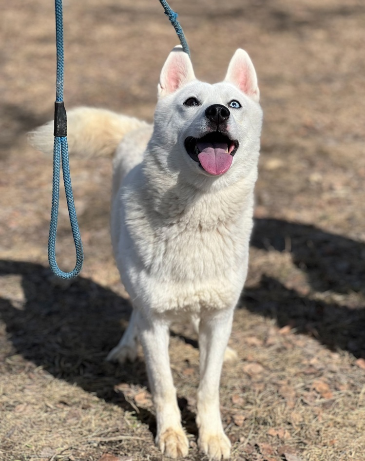 Лайки Марк и Геральт - 4