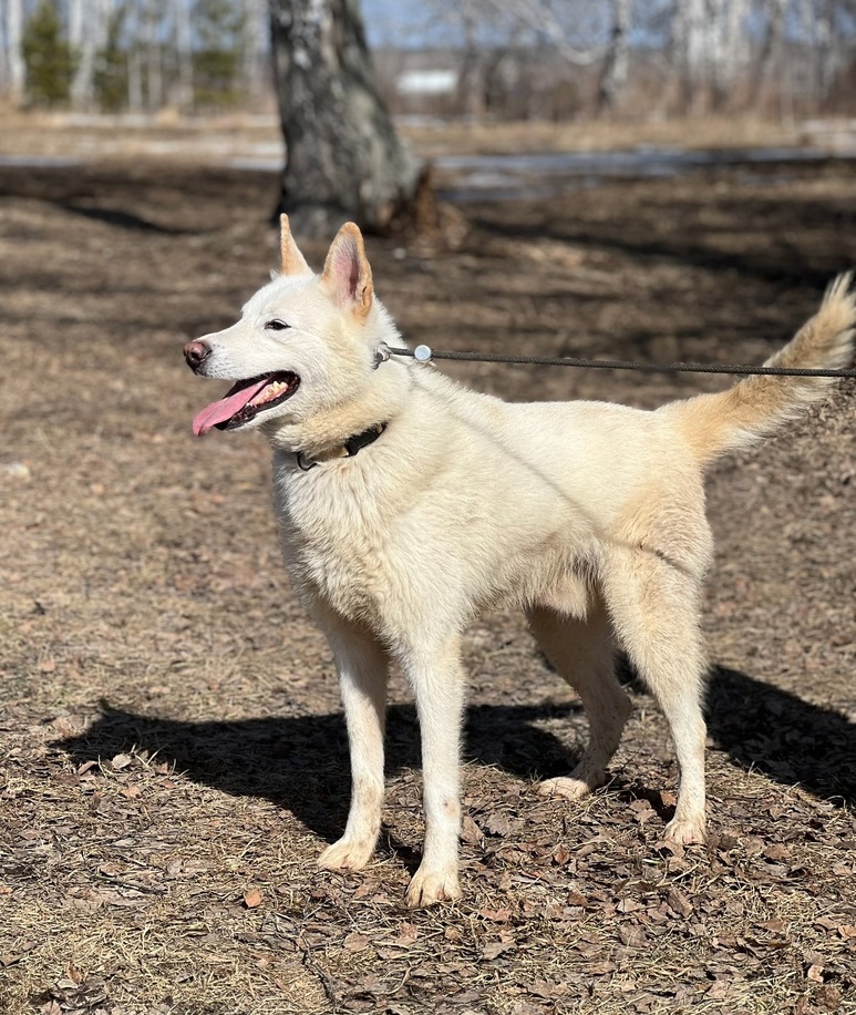 Лайки Марк и Геральт - 5