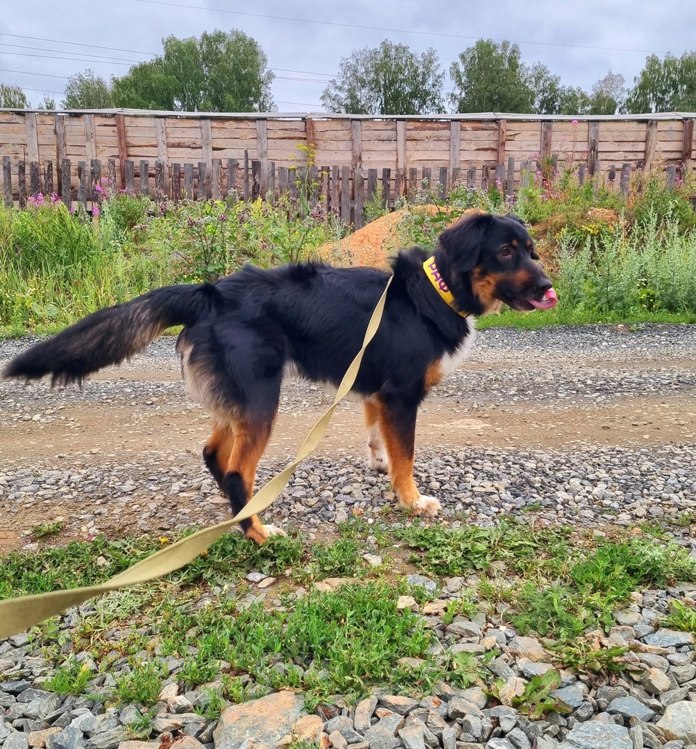 Рафаэлка - 1