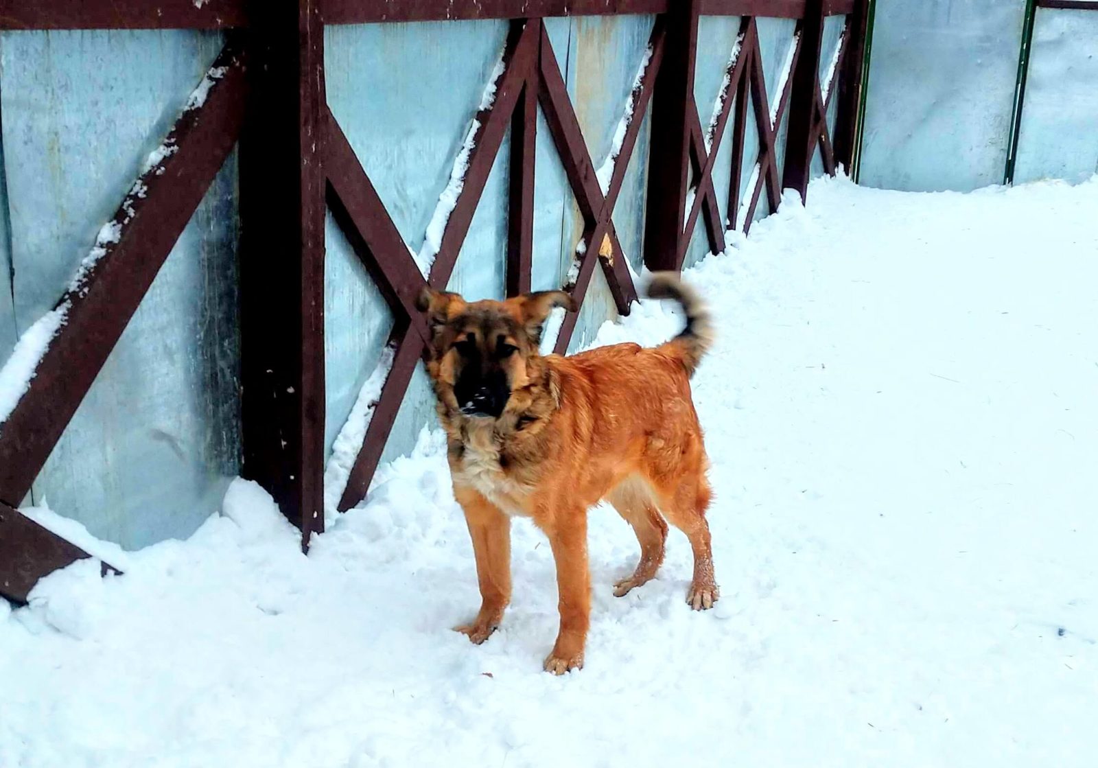 Кастиэль - 1