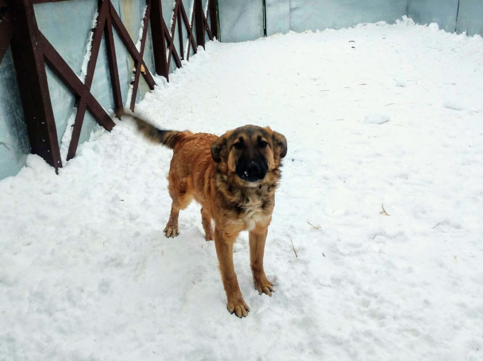 Кастиэль - 2