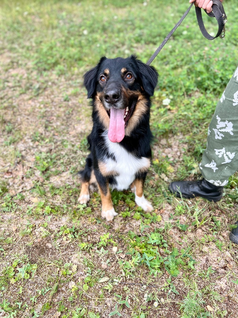 Рафаэлка - 3