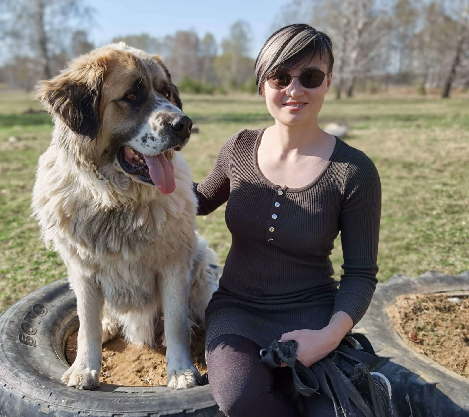 Добро пожаловать в гостиницу для собак Зоозабота!