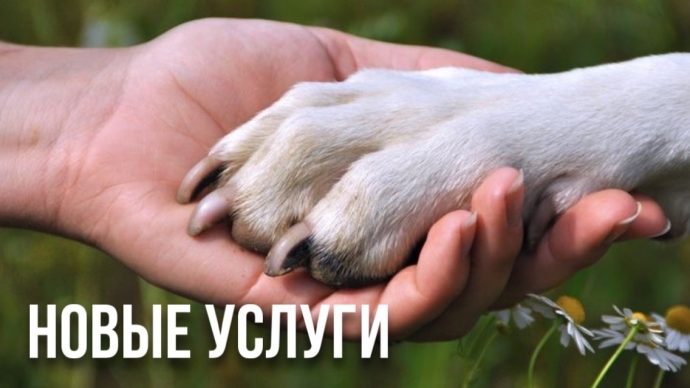 Мы стараемся быть лучше для вас!