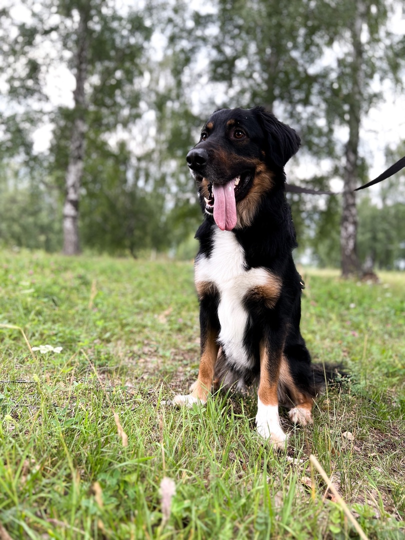 Рафаэлка - 4