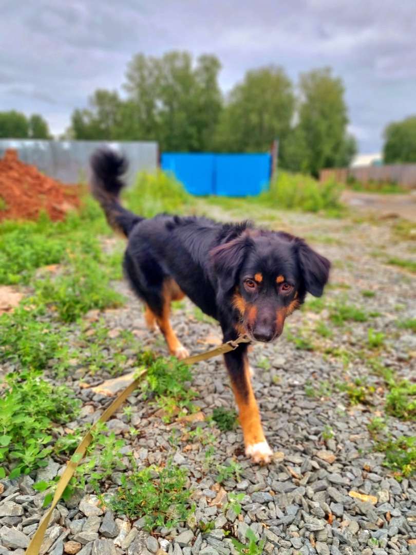 Рафаэлка - 5