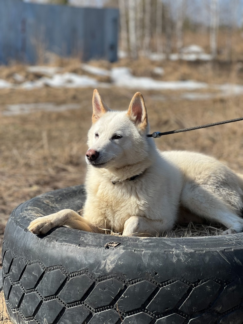 Лайки Марк и Геральт - 6