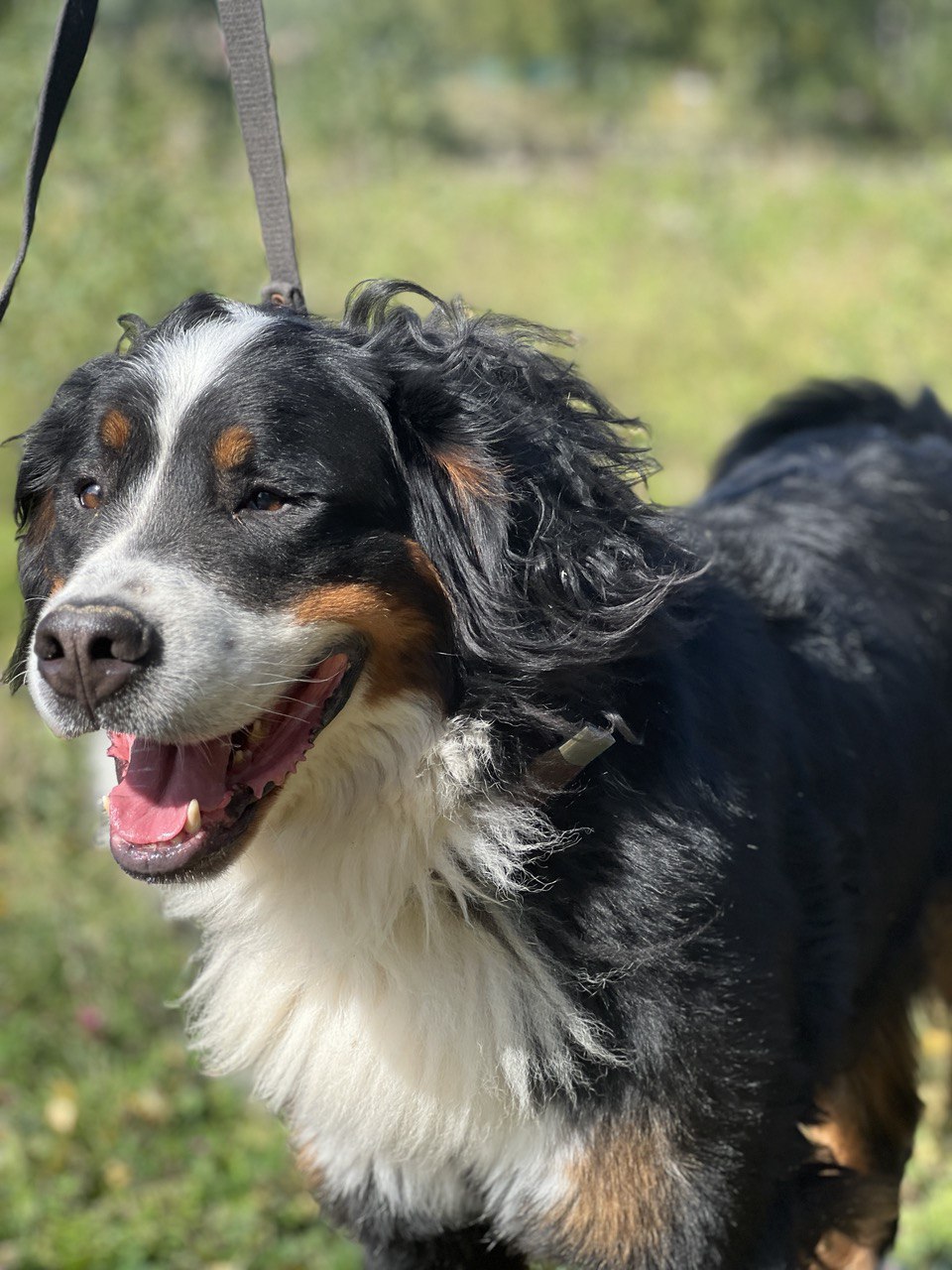 Ролс и Ройс - 3