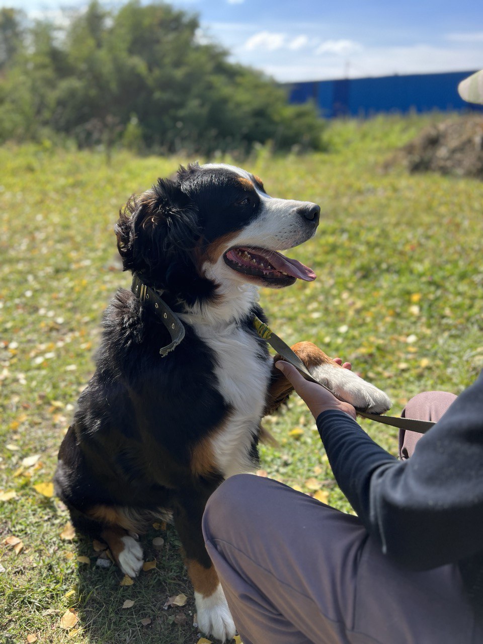 Ролс и Ройс - 4