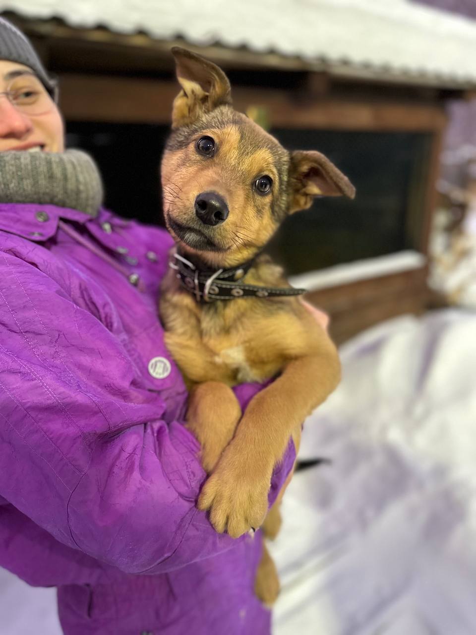 Щенок Джим - 5