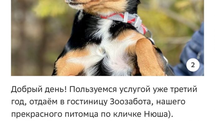 Отзыв о Зоозабота - 2