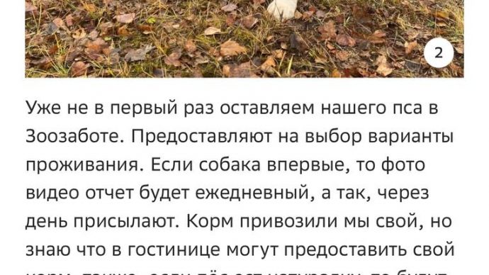 Отзыв о Зоозабота - 3