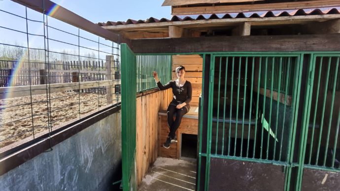 Размещение: 1х2 м, с отдельным выгульником