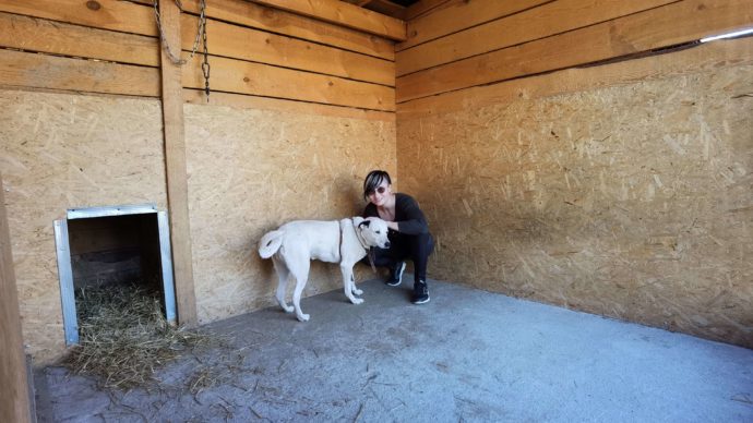 Размещение: 3х2.5 м