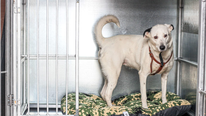 Размещение: 80x125 см