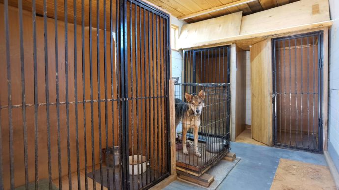 Размещение: 1х1.5 м